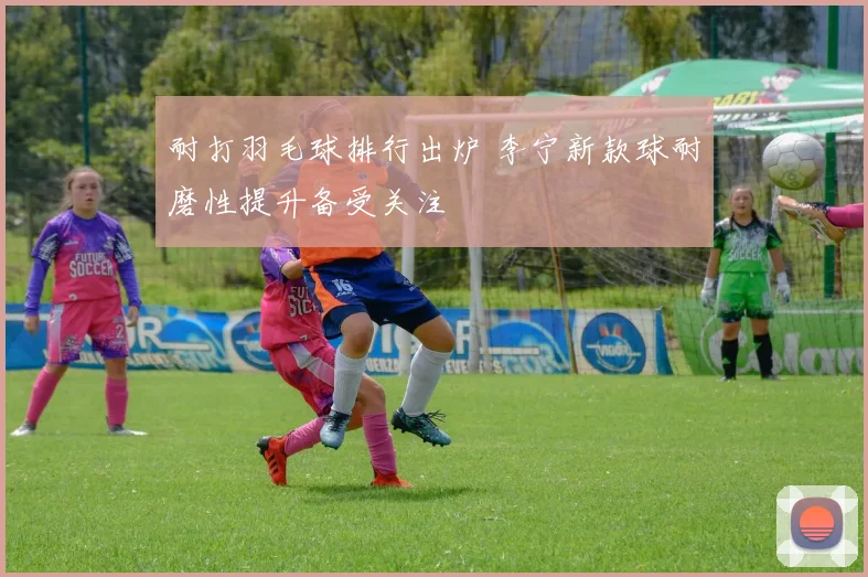 耐打羽毛球排行出炉 李宁新款球耐磨性提升备受关注